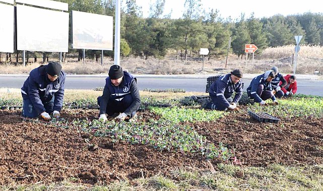 Diyarbakır'da çiçeklendirme çalışmaları devam ediyor