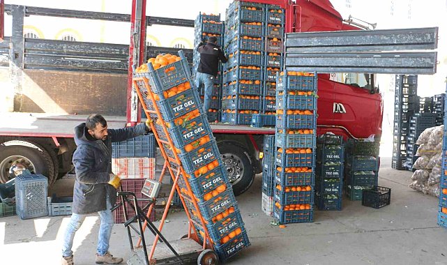 Diyarbakır'da soğuk hava sebze ve meyve fiyatlarını etkiledi