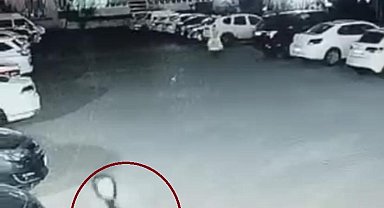 Diyarbakır'da sokak köpeğinin saldırdığı 3 kişi yaralandı