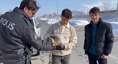 Duyarlı kardeşler yaralı toy kuşunu yetkililere teslim etti