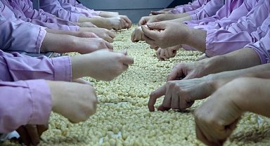 Düzce'den AB ülkelerine 2 bin 416 ton fındık ihraç edildi
