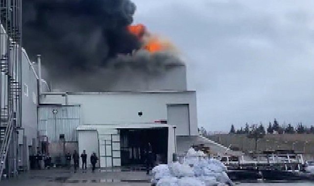 Edirne'de fabrika yangını
