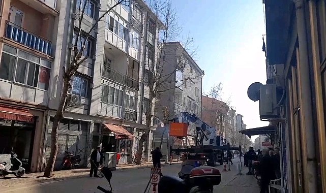 Edirne'de tehlikeli ağaç budama kesimi