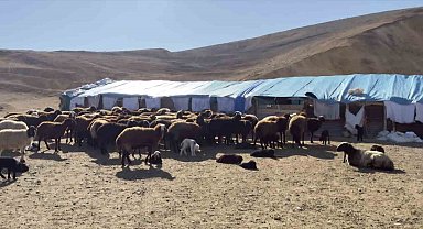 Elazığ'da karantina uygulanan 3 ilçede ekiplerin çalışmaları sürüyor