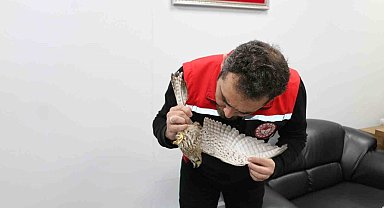 Erzincan'da ekipler, kerkenez için seferber oldu