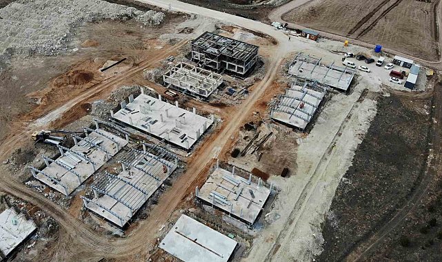 Eskişehir'de 70 dönümlük alana hayvan bakımevi inşa ediliyor