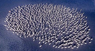 Eskişehirli fotoğraf sanatçısı, uluslararası yarışmada Bireysel Dünya 2'inciliği kazandı