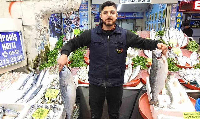 Gaziantep'te tezgahlar Ramazan öncesi balık çeşitleriyle şenlendi