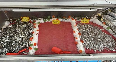 Hamsi sevenlere kötü haber