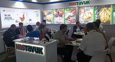 HasTavuk bir kez daha dünya arenasında