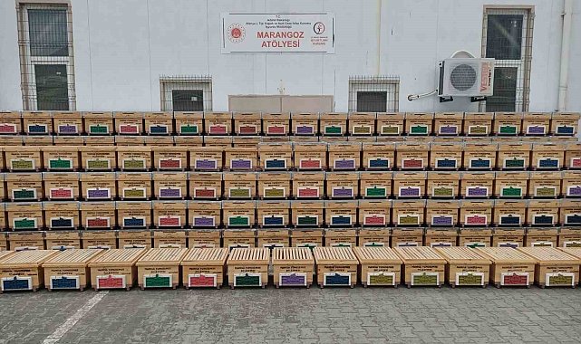 Hükümlülerin ürettiği kovanlar üreticiye dağıtılacak