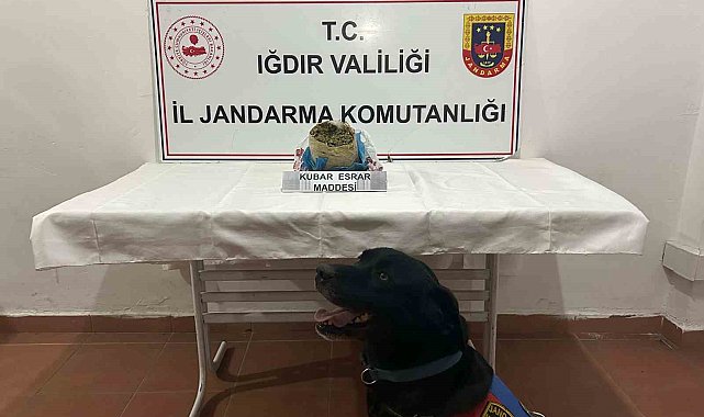 Iğdır'da 1 kilogram kubar esrar ele geçirildi
