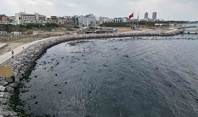 İskenderun Körfezi'nde denizde çekilme yaşandı