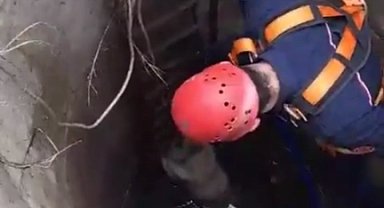 İstanbul Çatalca'da kuyuya düşen köpek kurtarıldı