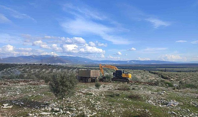 İzinsiz kazı yaparken yakalandılar