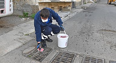 İzmir Karabağlar'da erken dönem sinek mücadelesi başladı