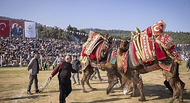 İzmir'de 16. Torbalı Deve Güreşleri Festivali düzenlendi
