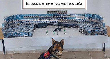 Jandarmadan kaçak sigara operasyonu