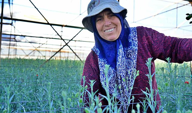 Kadınlar Günü'ne özel 80 milyon dal karanfil ihracatından 10 milyon dolarlık beklenti