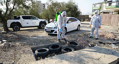 Kahramanmaraş'ta zararlılara karşı kış baskını