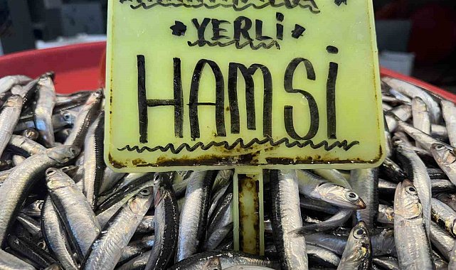 Kar yağışının ardından tezgahlarda son durum: Hamsi 400 TL, sardalya 200 TL