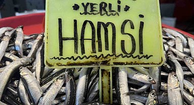 Kar yağışının ardından tezgahlarda son durum: Hamsi 400 TL, sardalya 200 TL