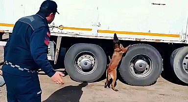 Kargo aracında 1 tonun üzerinde kaçak tütün ve yüzlerce paket sigara ele geçirildi