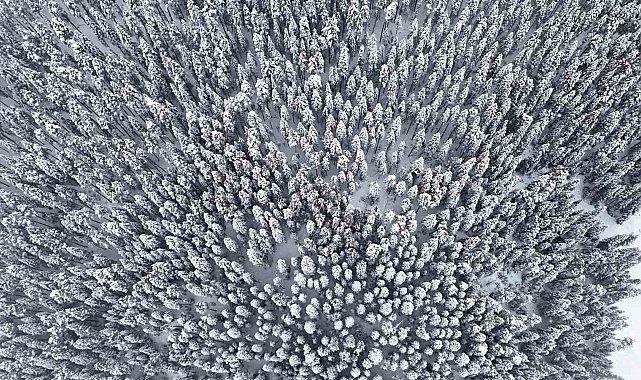 Karlar altındaki Ilgaz ormanları havadan görüntülendi
