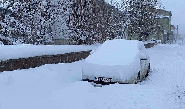Karlıova'da kar hayatı olumsuz etkiledi, 47 köy yolu ulaşıma kapandı