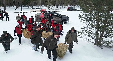 Kastamonu'da yaban hayvanları için doğaya yem ve yiyecek bırakıldı