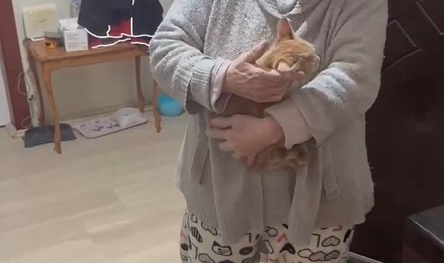 Kayseri'de bacada sıkışan kedi enkaz altı görüntüleme cihazı ile kurtarıldı