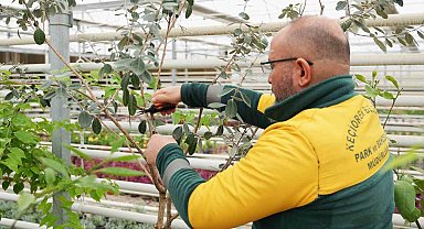 Keçiören Belediyesi'nden bilinçli tarımsal üretim için eğitim veriyor