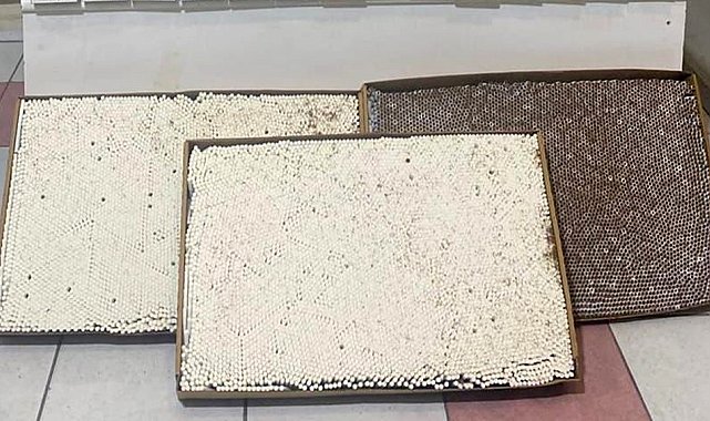 Kırıkkale'de 46 bin 700 kaçak makaron ele geçirildi