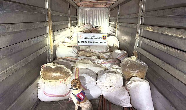Kırşehir'de 3 ton kıyılmış tütünle yakalanan tır sürücüsü tutuklandı