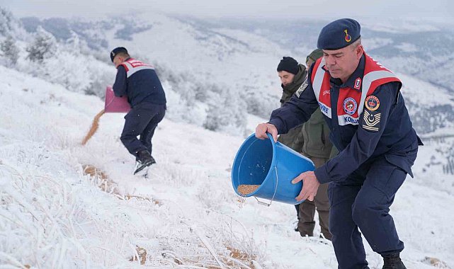 Kırşehir'de yaban hayvanları için yem bırakıldı