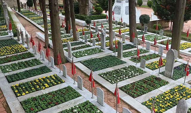Kocaeli şehitliğinde çiçekler açtı