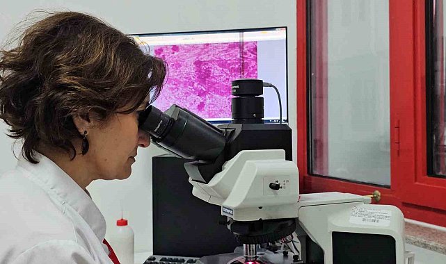 Kontrolsüzce çevreye bırakılan etler "kist hidatik enfeksiyonunun' yayılmasına neden oluyor