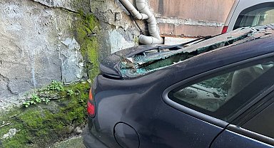 Köpek, beşinci kattan park halindeki aracın üzerine düştü