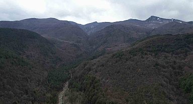Küreklidere Orman Parkı, 2025 yılında hizmete açılacak