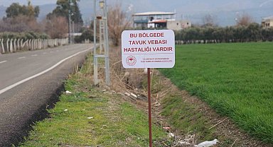 Kuş vebası görülen mahallede 338 kanatlı hayvan itilaf edildi
