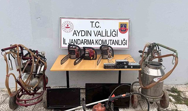 Kuyucak'ta hırsızlık şüphelileri yakalandı