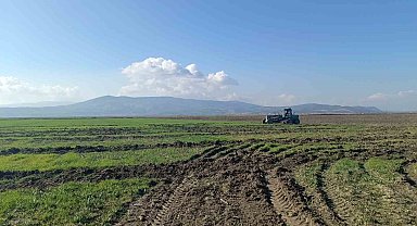 Marmara Gölü'ndeki izinsiz ekili alanlara müdahale