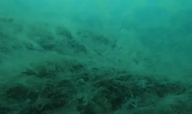 Müsilaj Saros Körfezi'nde!