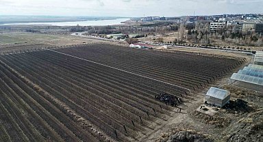 Niğde'de 'Meyve Ağacı Budama Eğitimi' düzenlendi