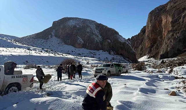 Niğde'de yaban hayvanları için doğaya yem bırakıldı