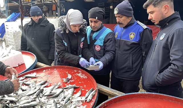 Osmaneli balık pazarında denetim