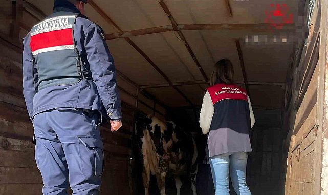 Pehlivanköy'de hayvan taşıyan araçlar denetlendi