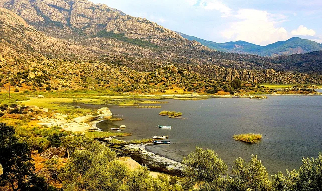 Proje Evi Kooperatifi'nden evrensel imza