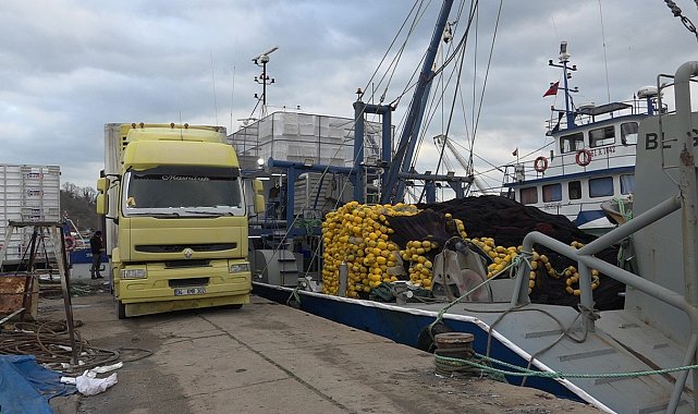 Rotalar İğneada'ya çevrildi: Kasa kasa hamsi tutuldu