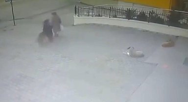 Sahipsiz köpeğin yaşlı kadına saldırdığı anlar kamerada